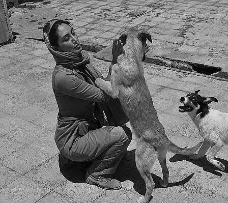 عکس کنایهآمیزی که هدیه تهرانی منتشر کرد عکس کنایهآمیزی که هدیه تهرانی منتشر کرد