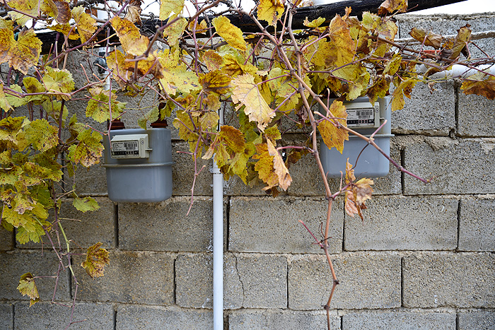 جدیدترین تصمیم دلهرهآور دولت درباره یارانهها جدیدترین تصمیم دلهرهآور دولت درباره یارانهها