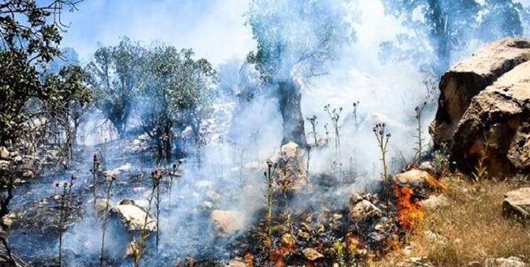 دود آتش زاگرس به چشم البرز خواهد رفت دود آتش زاگرس به چشم البرز خواهد رفت