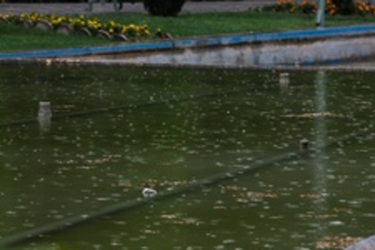 بارش پراکنده در شمال تهران/ افزایش دما تا دوشنبه بارش پراکنده در شمال تهران/ افزایش دما تا دوشنبه