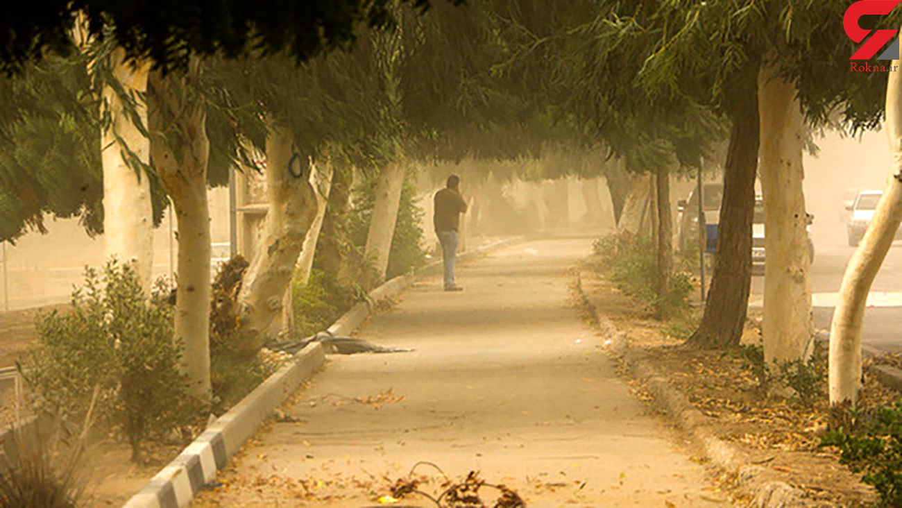 هشدار زرد هواشناسی برای باد شدید و گرد و خاک در تهران هشدار زرد هواشناسی برای باد شدید و گرد و خاک در تهران