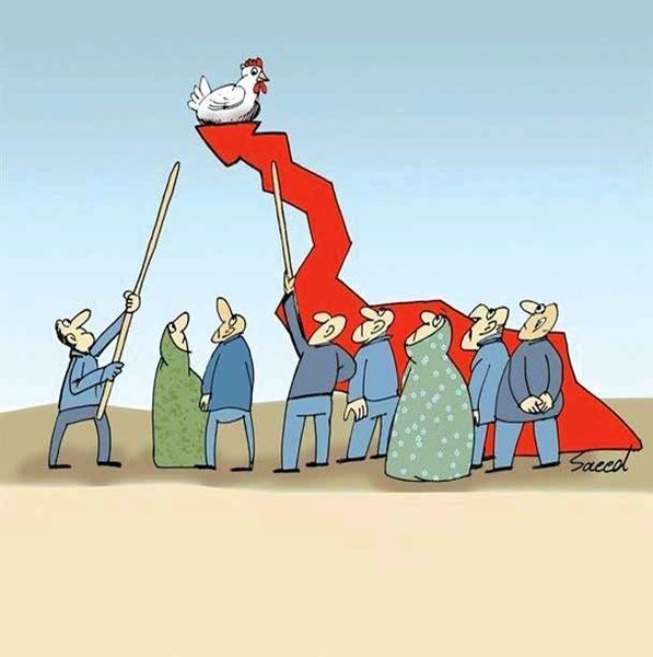 یک کیلومرغ: ١٠٠,٠٠٠ تومان یک کیلومرغ: ١٠٠,٠٠٠ تومان