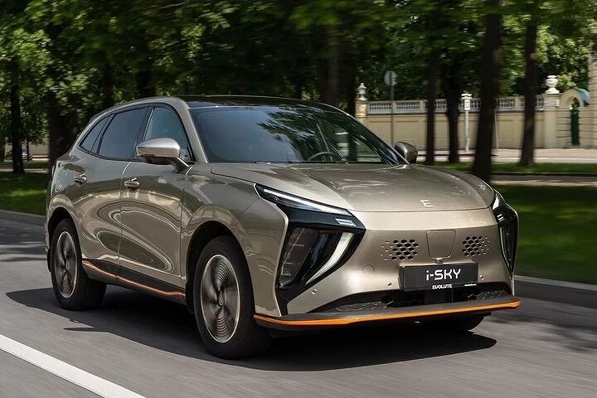 قیمت لاماری در بازار امروز ۲۷ اسفند ۱۴۰۲ قیمت لاماری در بازار امروز ۲۷ اسفند ۱۴۰۲