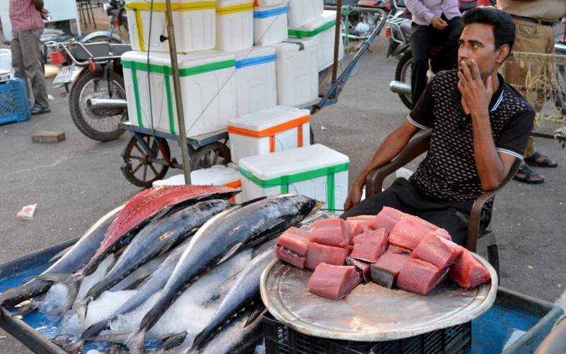 مصرف محصولات شیلاتی ۶۰ درصد کاهش یافته است مصرف محصولات شیلاتی ۶۰ درصد کاهش یافته است