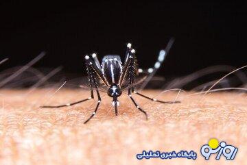 علائم بیماری درد استخوان شکن را بشناسید/ مصرف این داروها ممنوع است علائم بیماری درد استخوان شکن را بشناسید/ مصرف این داروها ممنوع است