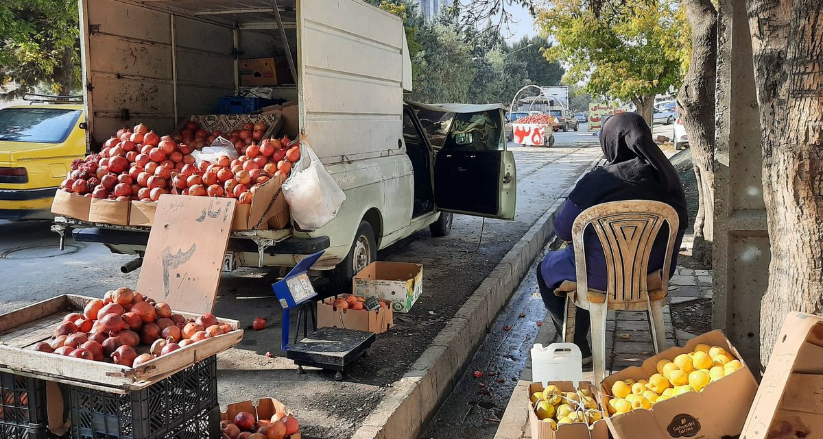 عکس که از یک میوهفروش وانتی جلب توجه کرد