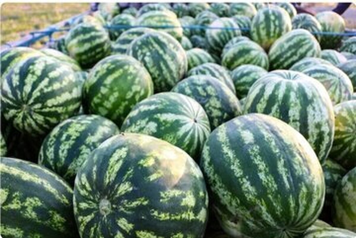 یارانه ایرانیها در جیب افغانها/ خیانت ملی افشا شد یارانه ایرانیها در جیب افغانها/ خیانت ملی افشا شد