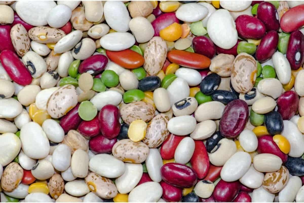 قیمت لوبیا چیتی و برنج در بازار + جزییات